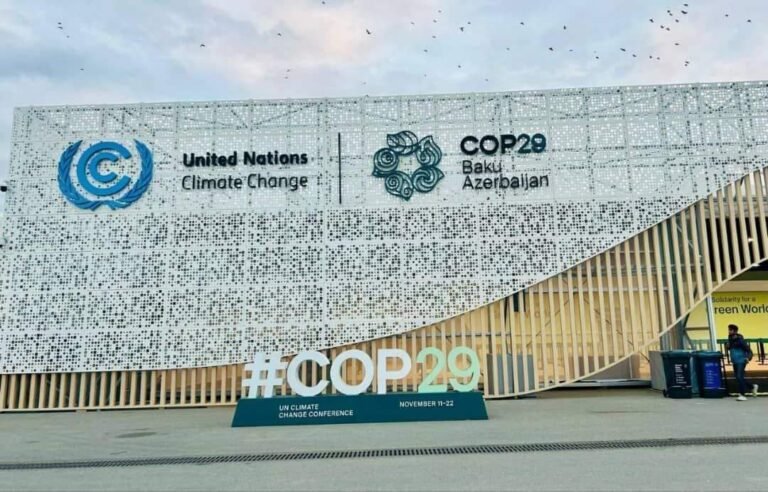 COP29