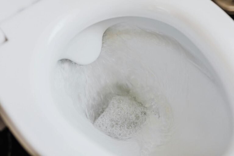 retrete