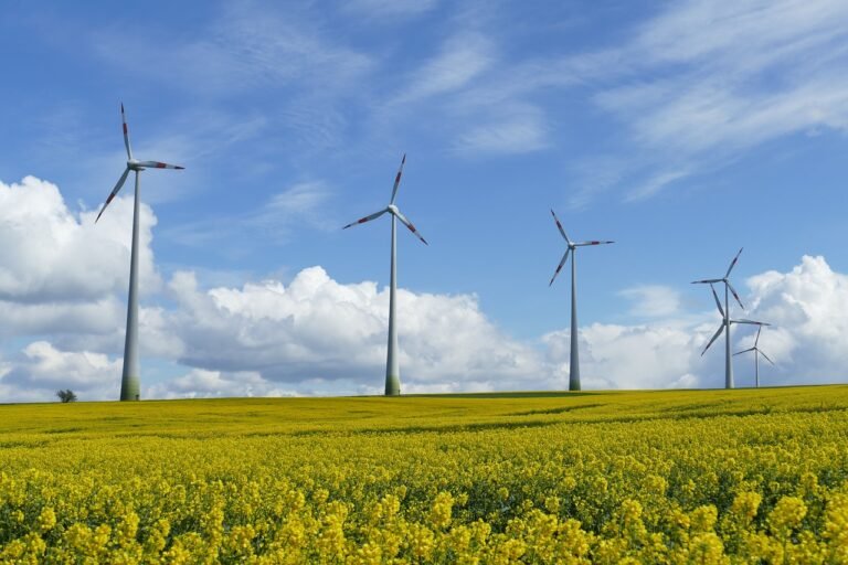 energías renovables