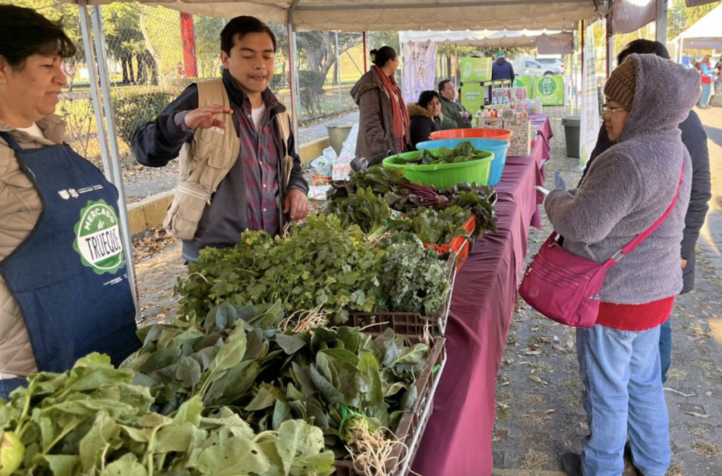 Mercado del Trueque