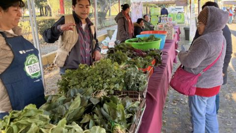 Mercado del Trueque
