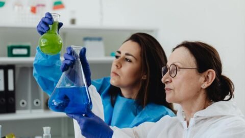Becas STEM