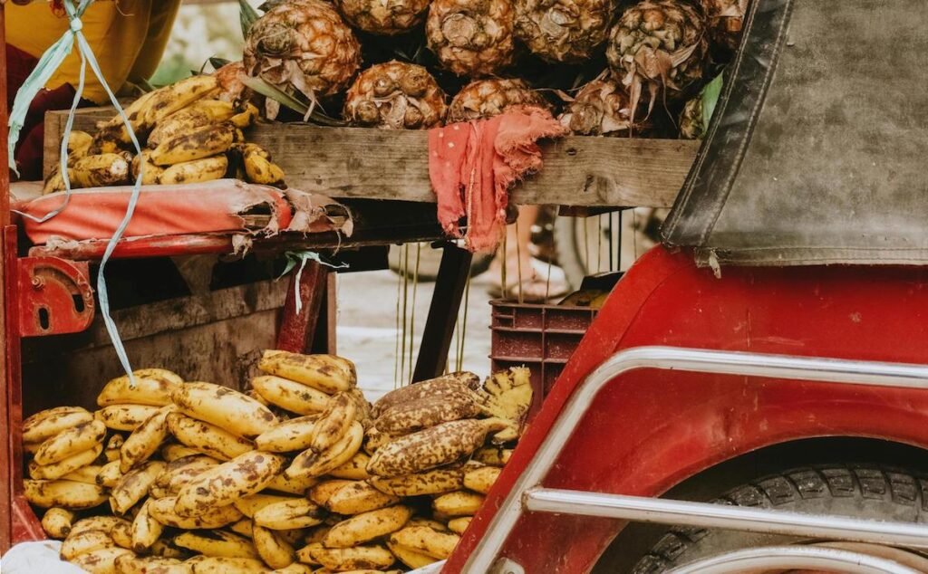 seguridad alimentaria