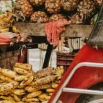 seguridad alimentaria