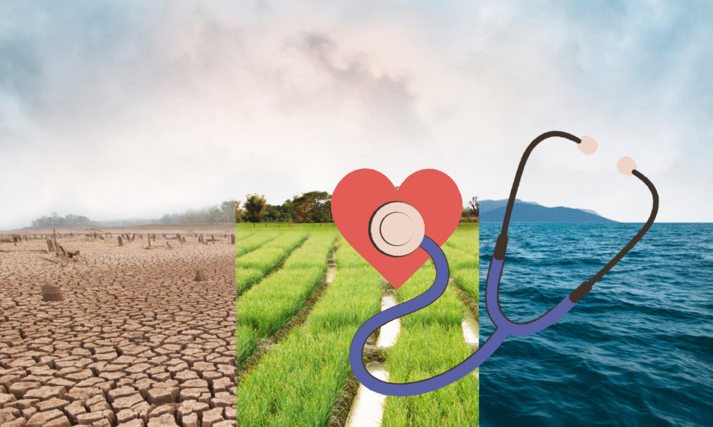 salud ambiental