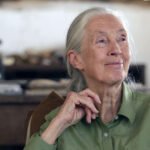 Jane Goodall