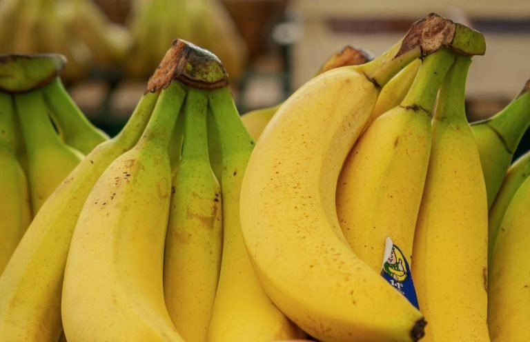 pexels-couleur-31308274