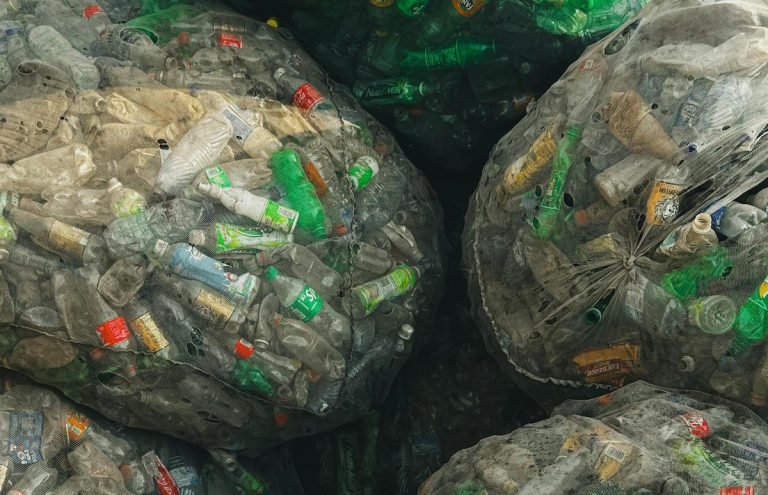 pexels-ajiss-30198260