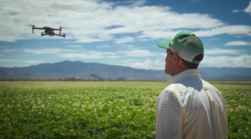 agricultura regenerativa