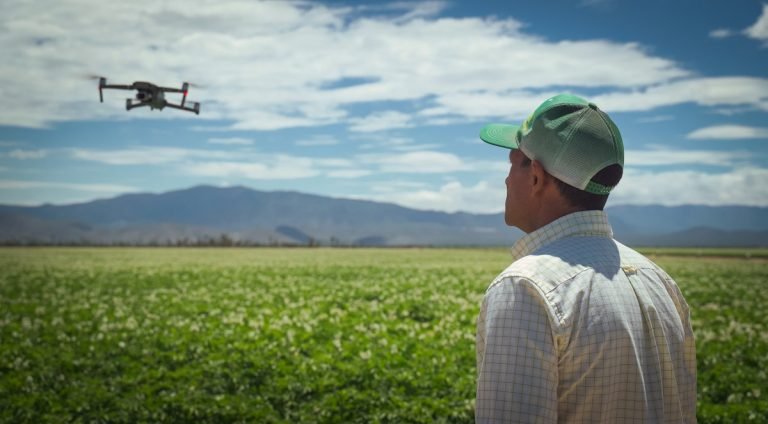 agricultura regenerativa