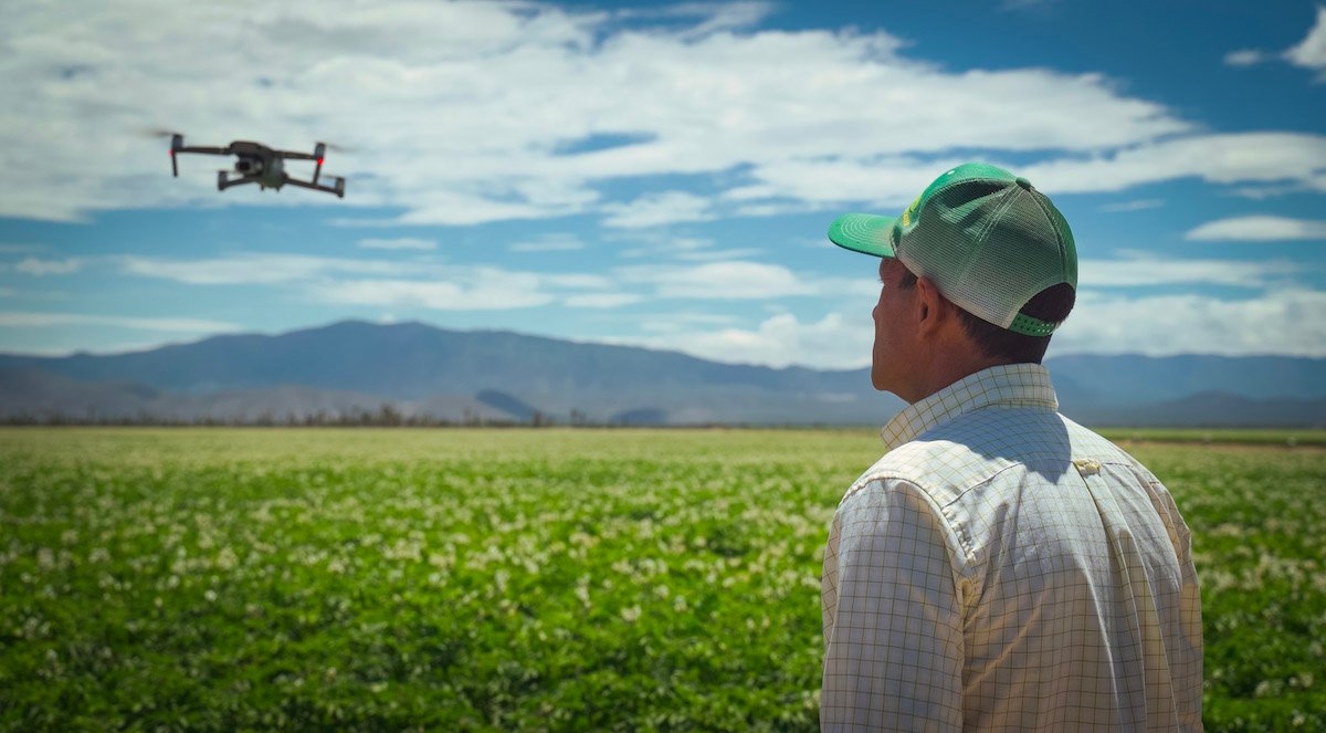 agricultura regenerativa