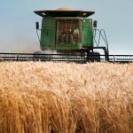 agricultura sostenible