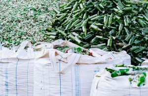 Plastics Recycling LATAM