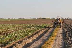 Salud del suelo, clave para la resiliencia agrícola en México