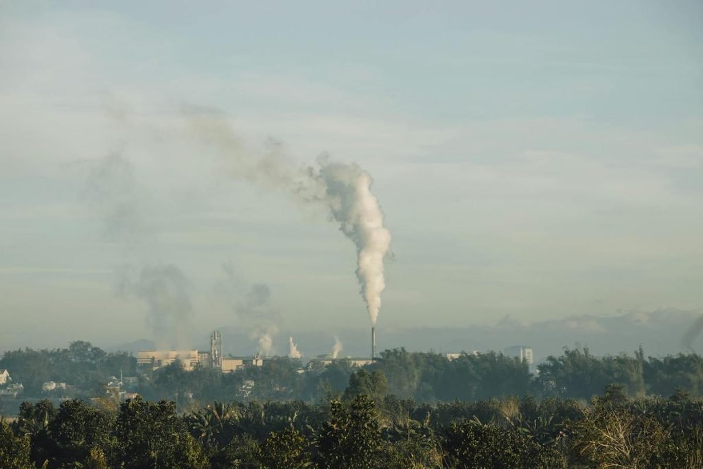Emisiones de carbono