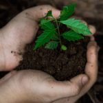 estrategia ambiental