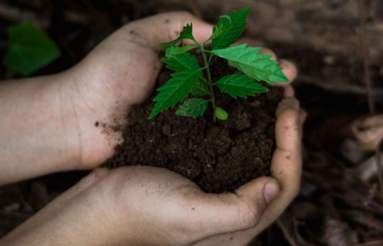 estrategia ambiental