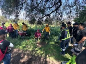 Grupo Peñafiel e Iztapalapa reforestan el Cerro de la Estrella